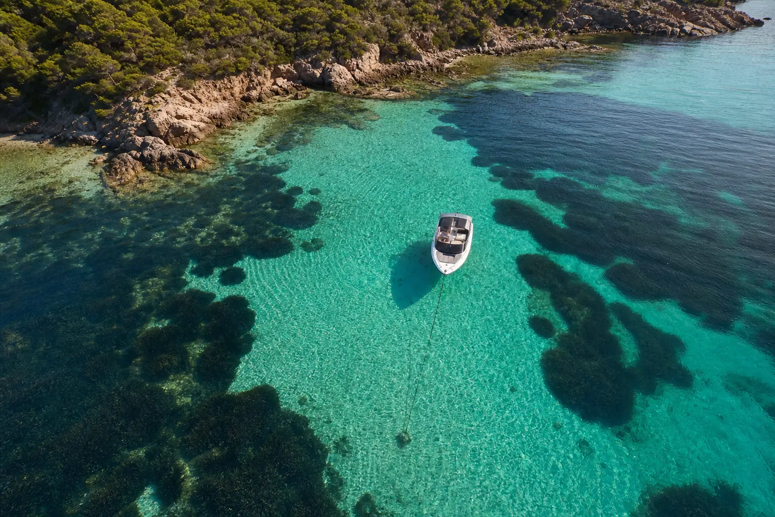 Mouillage et posidonie : où jeter l'ancre en Méditerranée sans risquer d'amende